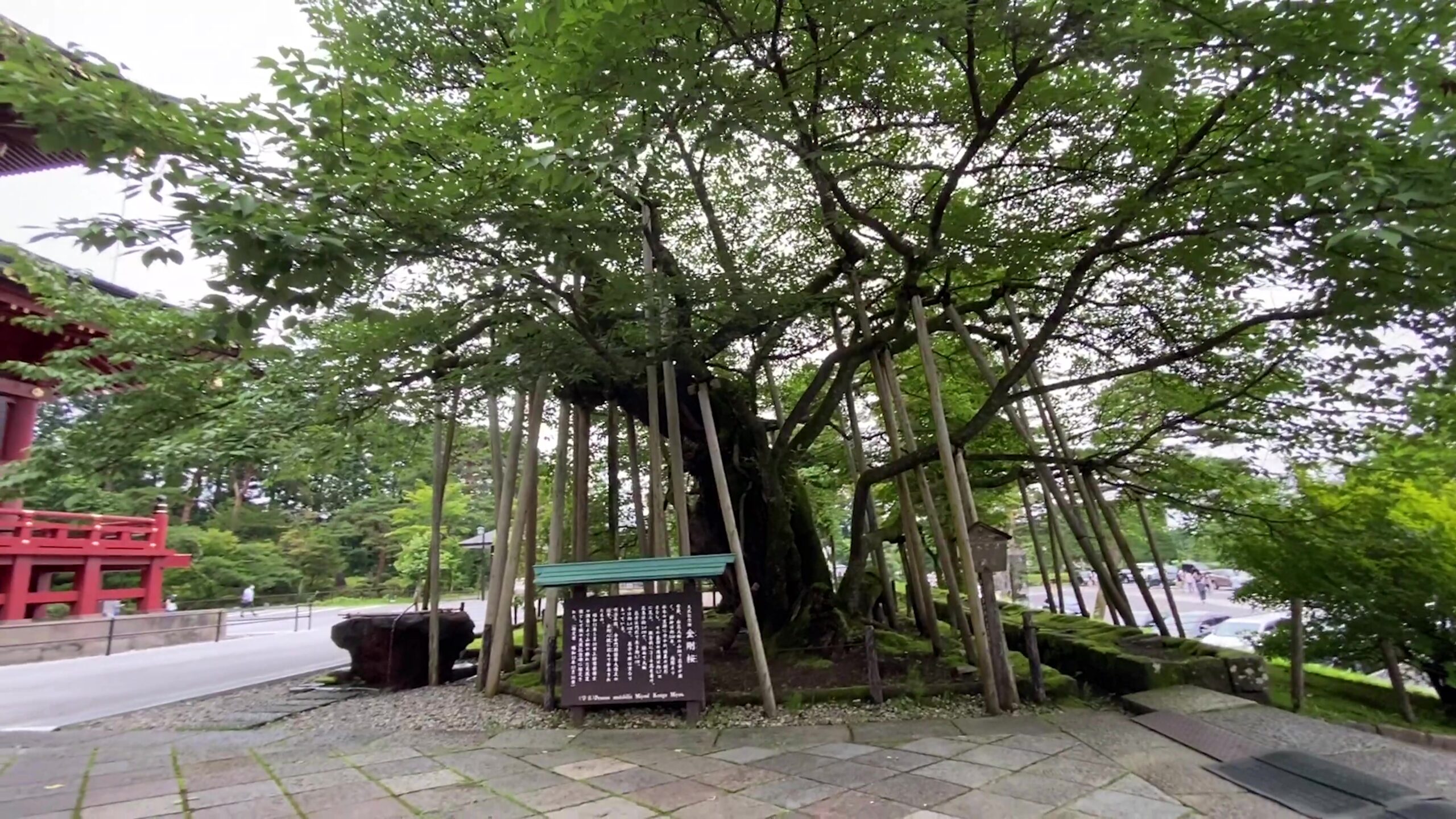 日光東照宮へ行ってきました 世界遺産 日光の社寺 観光ブログレビュー 温泉ホテル旅を楽しむ