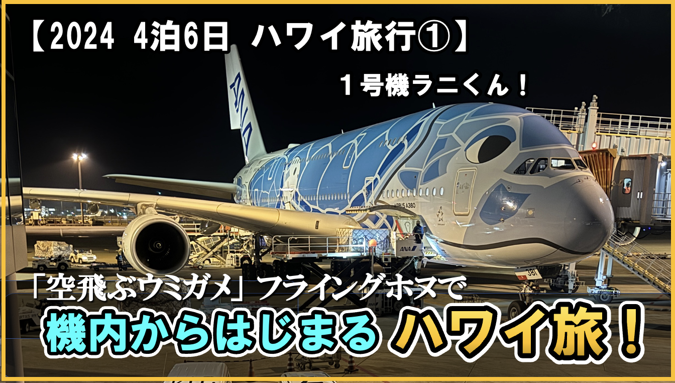 2024年ハワイHawaii旅行①】ハワイ旅行の準備～成田（NRT）ーホノルル（HNL）ANAプレミアムエコノミー搭乗記  フライングホヌのプレエコはやっぱり快適だった！【詳細解説ブログ】｜温泉ホテル旅を楽しむ！